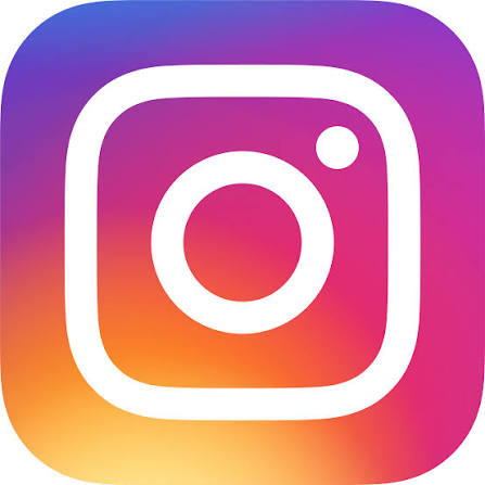 Instagram Lyon Sud Savate